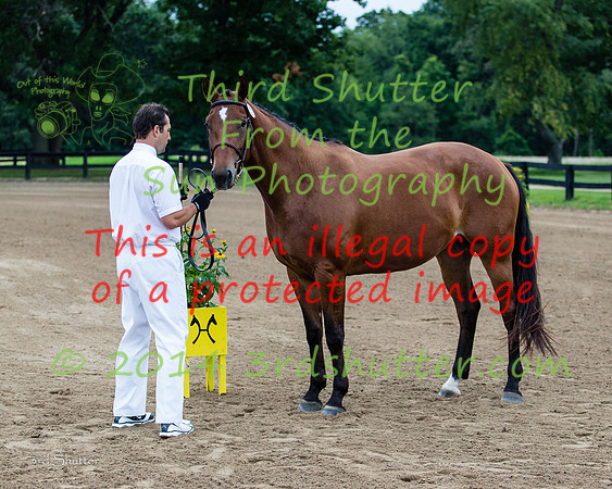 F43Q8566
