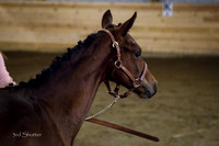 BN1C5859