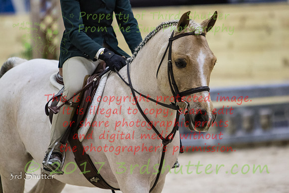 0E5A9737
