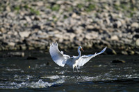_MG_0095