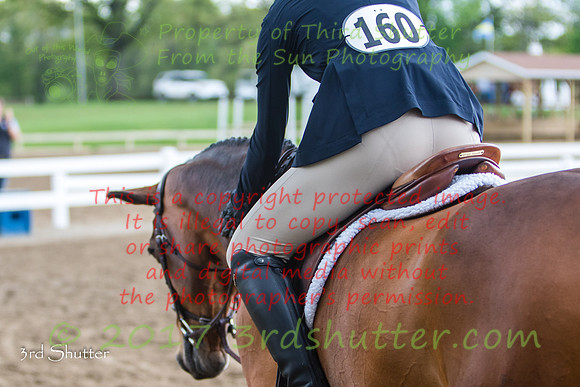 0E5A3116