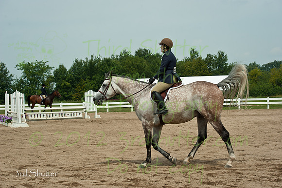 _DSC7937