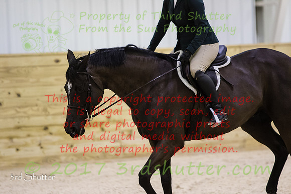 0M3A0095
