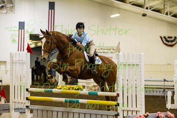 BN1C5335