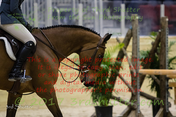 0M3A8278