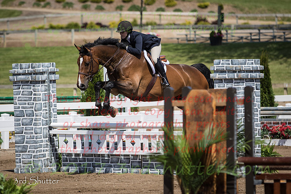 BV2A5557