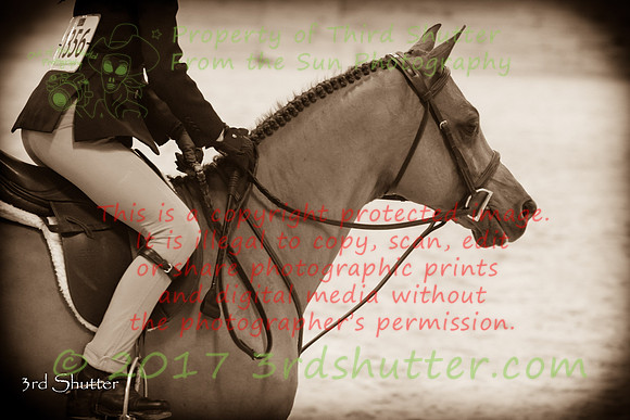 0E5A9377-2-2
