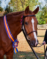 IMG_6592-Edit-3