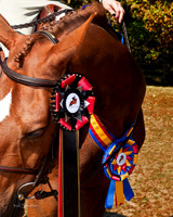 IMG_6634-Edit