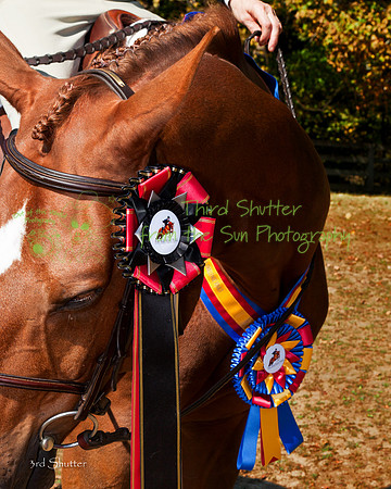 IMG_6634-Edit