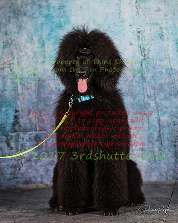 A18I0271