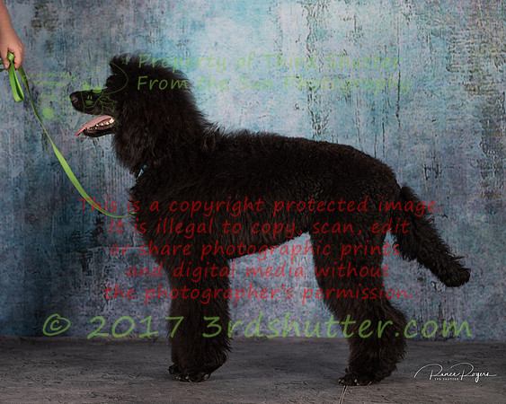 A18I0287