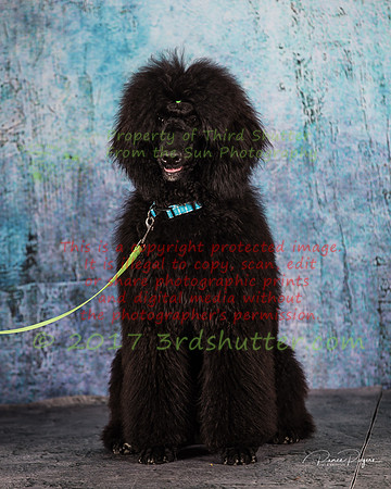 A18I0272