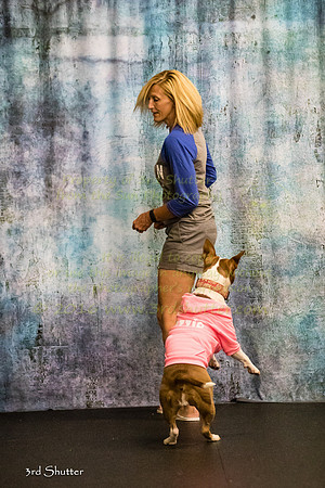 A18I7263