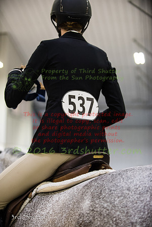 _1SF0617