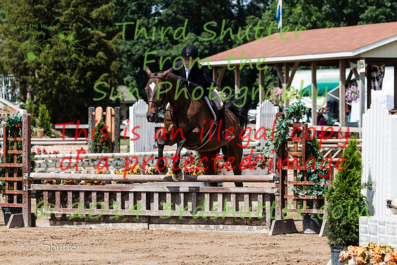 IMG_7826