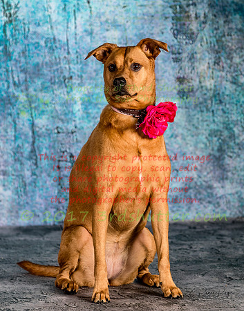 A18I0287-Edit-2