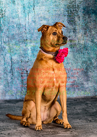 A18I0288-Edit