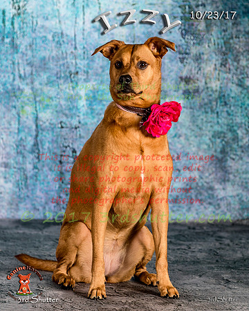 A18I0287-Edit