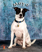 A18I0246-Edit