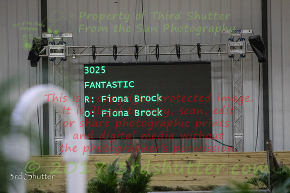 0E5A8131