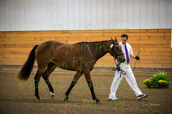 F43Q8436
