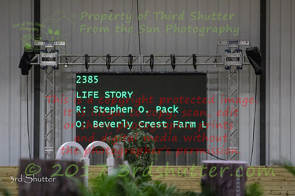 0E5A2381