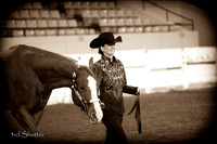 Halter - AQHA Amtr Select Showmanship