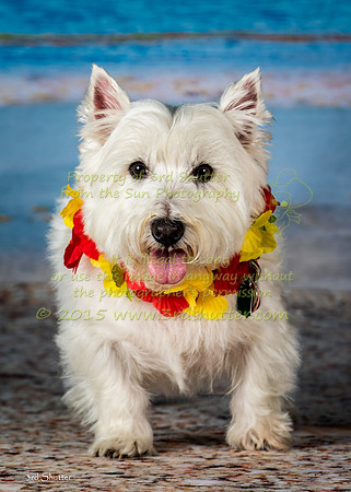 BV2A5505-Edit-2