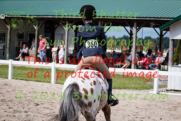 IMG_8872