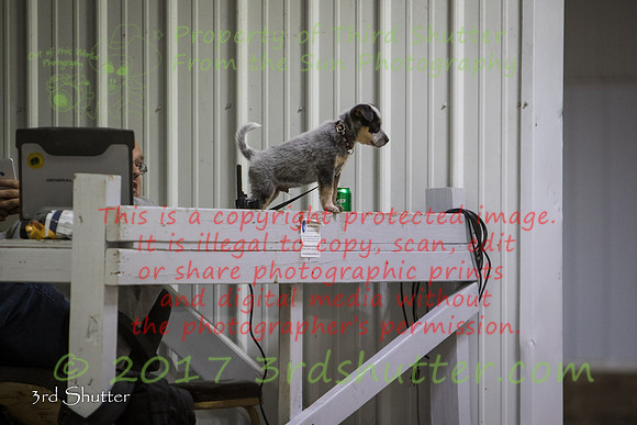 0E5A1612