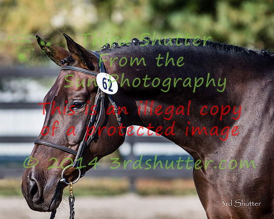 F43Q3233-Edit