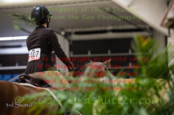 _1SF8187