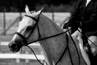 IMG_2269