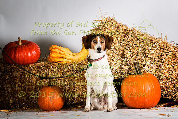IMG_2351-Edit