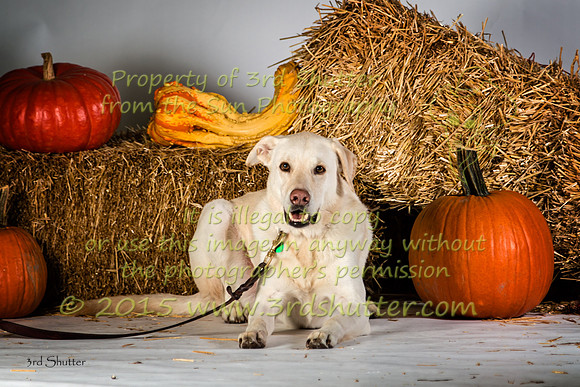 IMG_2382-Edit
