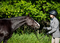 IMG_0387-Edit