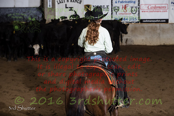 A18I2950