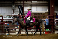 Nov Youth Ranch Riding