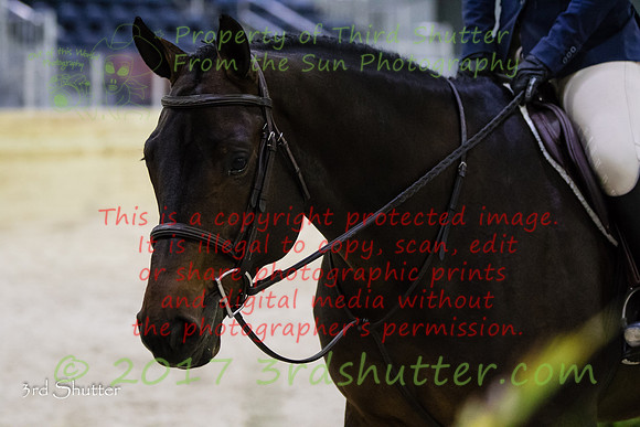 0M3A4972