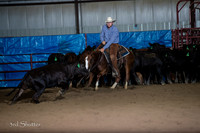 A18I0270