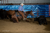 A18I0278