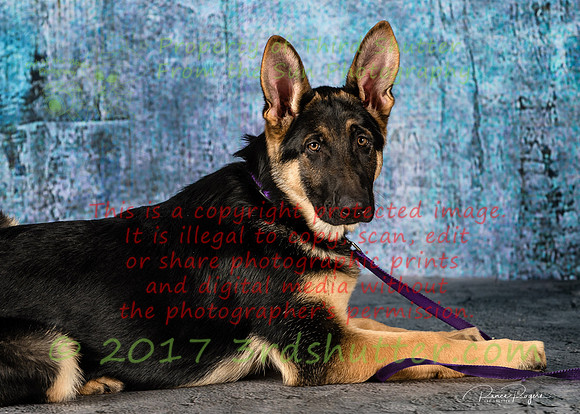A18I9566-Edit-Edit