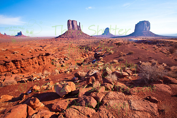 _MG_6879