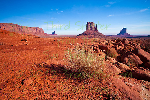_MG_6900