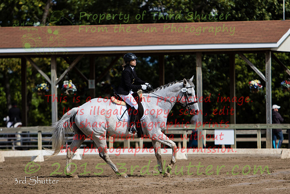 0E5A4377