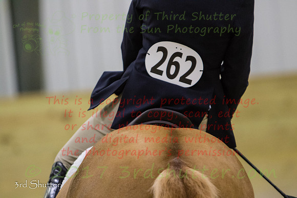 0E5A3998