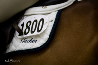 1800