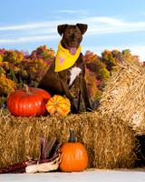 IMG_2038-Edit