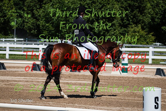 IMG_6664